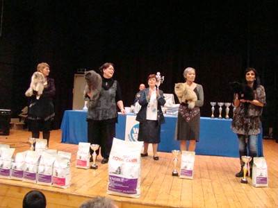 20121021_340 (Expo)